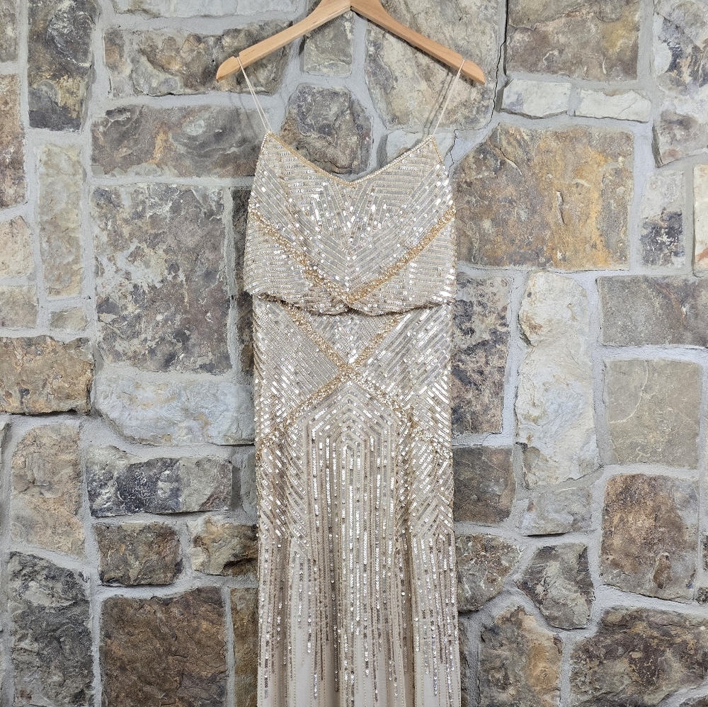 Adrianna Papell Sleeveless Beaded Blouson Gown Dress - Picture 4 of 10